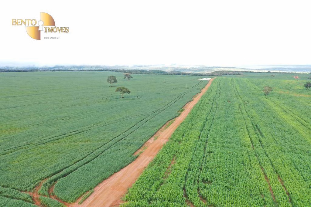Farm of 10,786 acres in General Carneiro, MT, Brazil