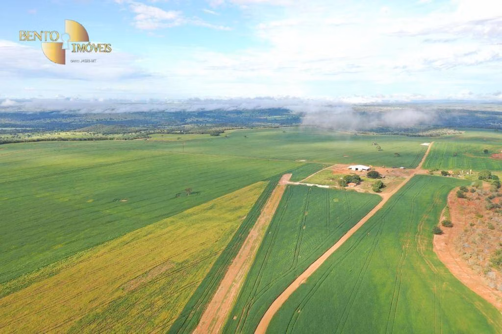 Farm of 10,786 acres in General Carneiro, MT, Brazil