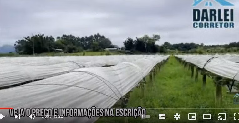 Chácara de 6 ha em Dom Pedro de Alcântara, RS