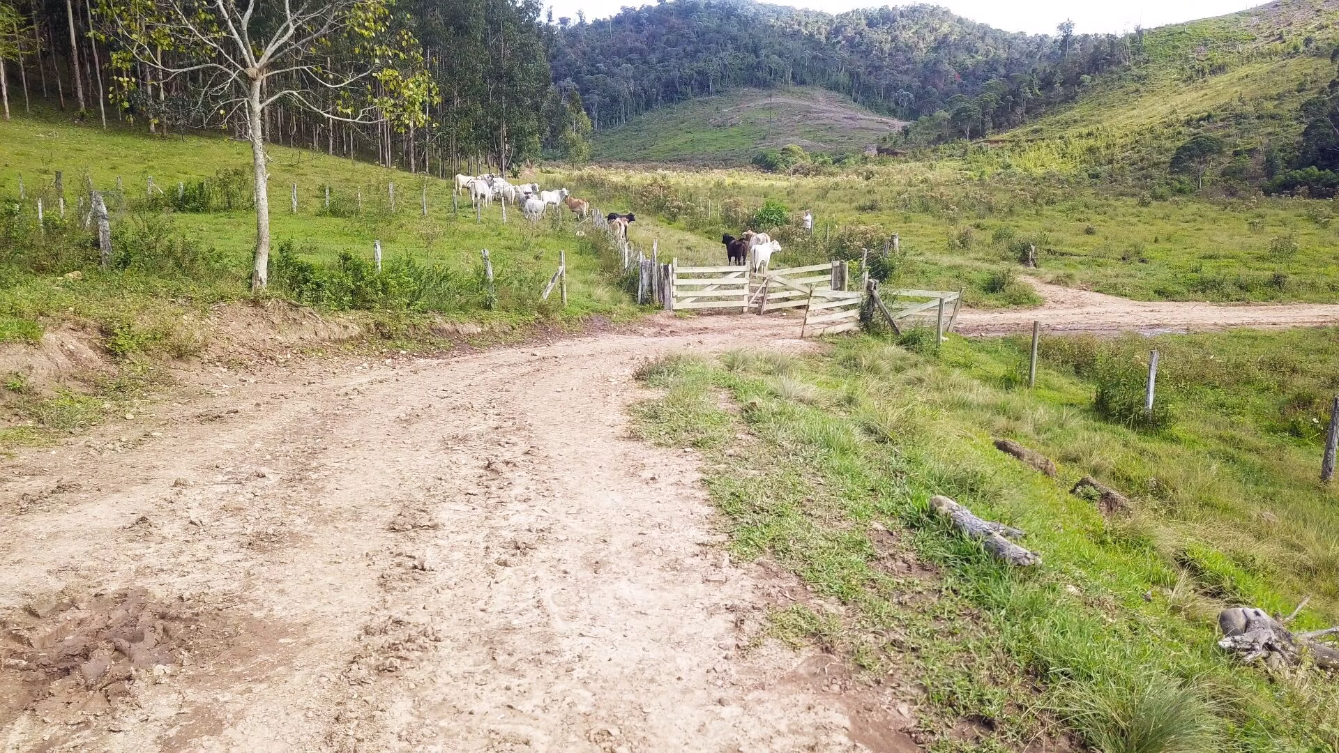 Sítio de 73 ha em Rio do Campo, SC