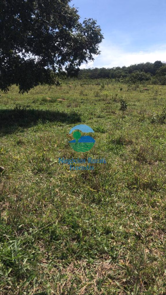 Fazenda de 232 ha em Caldas Novas, GO