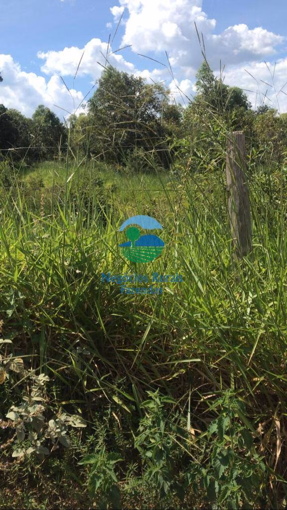 Fazenda de 232 ha em Caldas Novas, GO