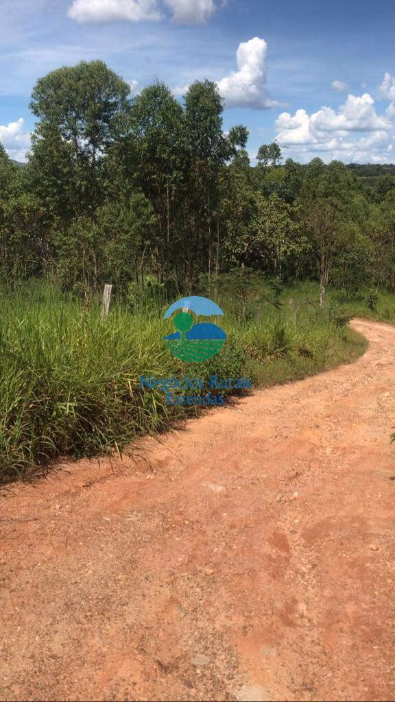 Fazenda de 232 ha em Caldas Novas, GO