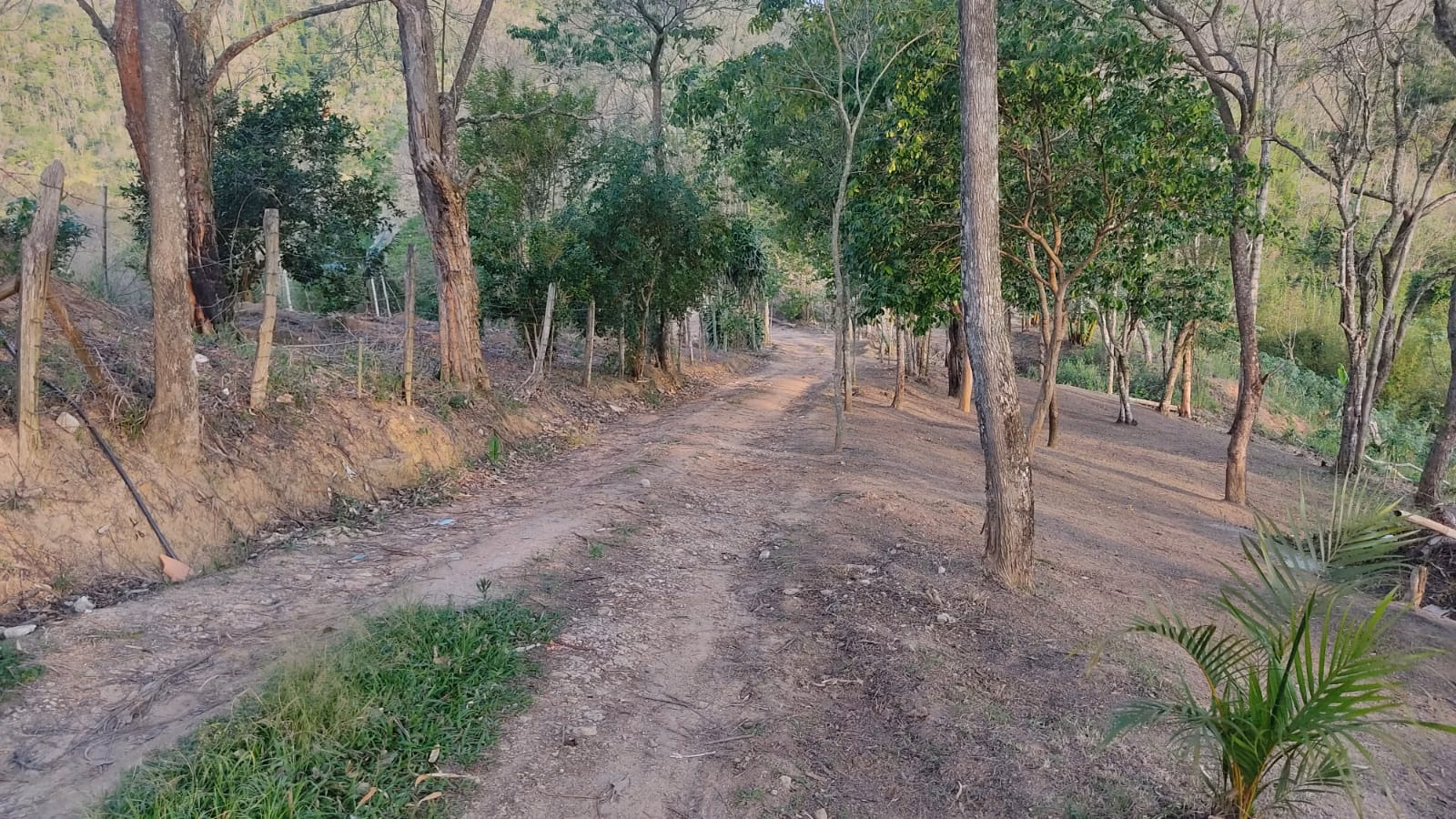 Sítio de 3 ha em Jambeiro, SP