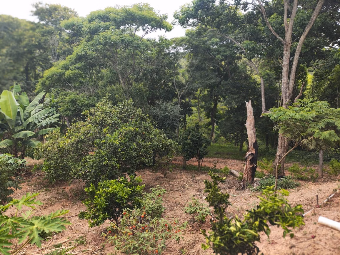 Sítio de 3 ha em Jambeiro, SP