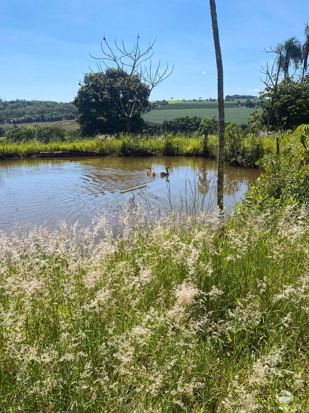 Farm of 371 acres in São José dos Campos, SP, Brazil