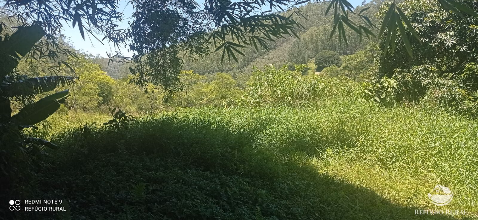 Farm of 371 acres in São José dos Campos, SP, Brazil