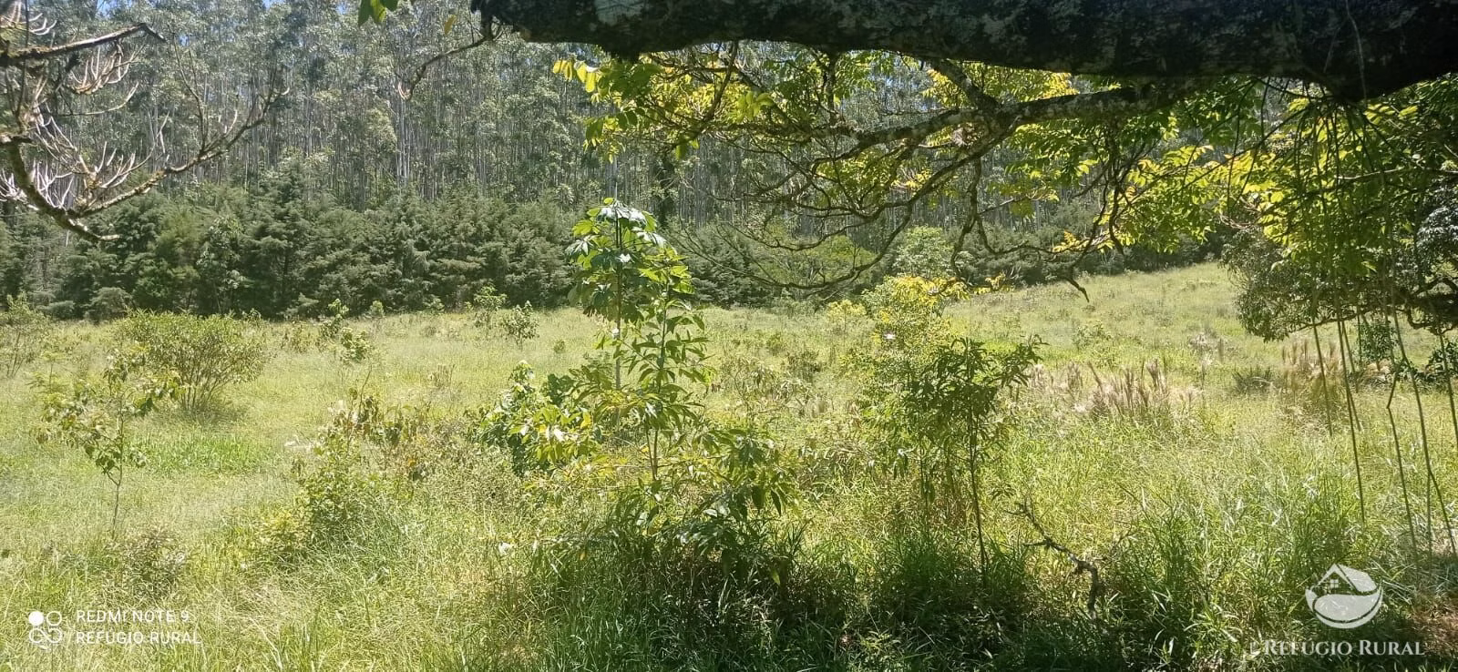 Farm of 371 acres in São José dos Campos, SP, Brazil