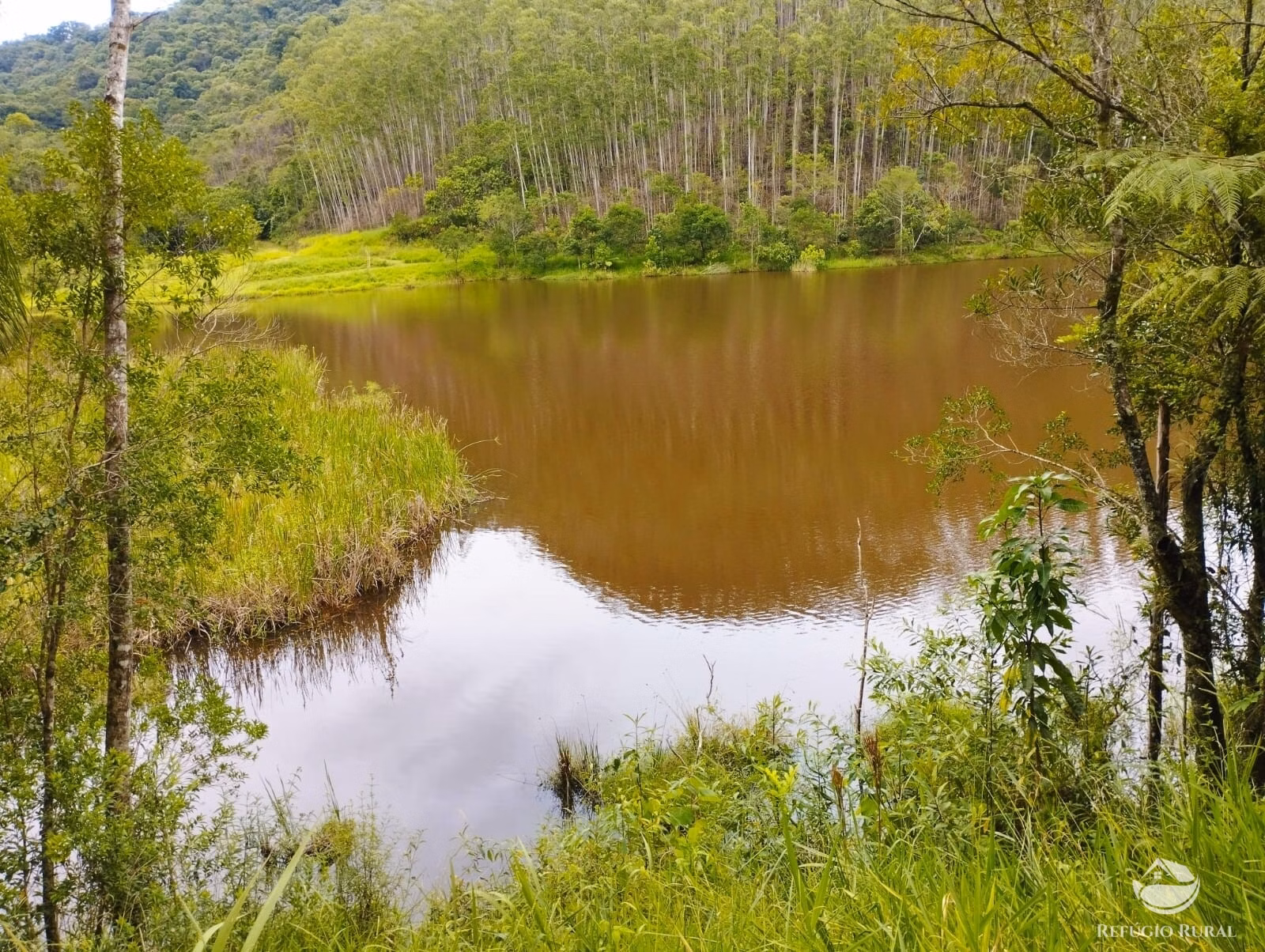 Farm of 371 acres in São José dos Campos, SP, Brazil