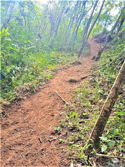 Small farm of 217 acres in São José dos Campos, SP, Brazil