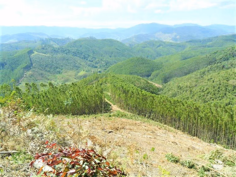 Small farm of 217 acres in São José dos Campos, SP, Brazil