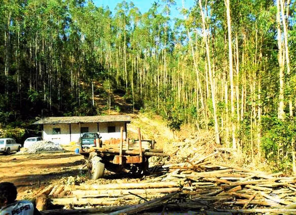 Small farm of 217 acres in São José dos Campos, SP, Brazil