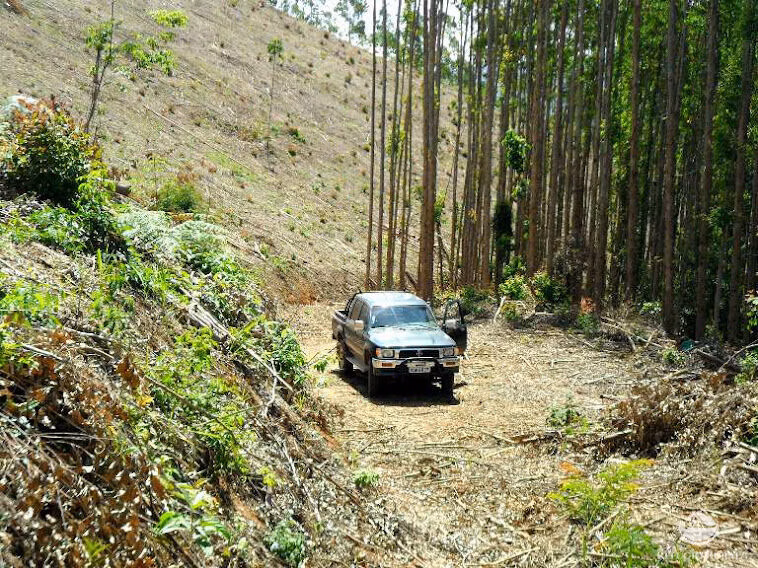 Small farm of 217 acres in São José dos Campos, SP, Brazil