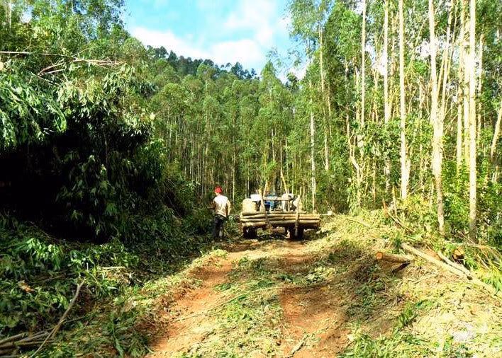 Small farm of 217 acres in São José dos Campos, SP, Brazil