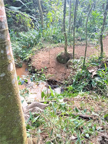 Small farm of 217 acres in São José dos Campos, SP, Brazil