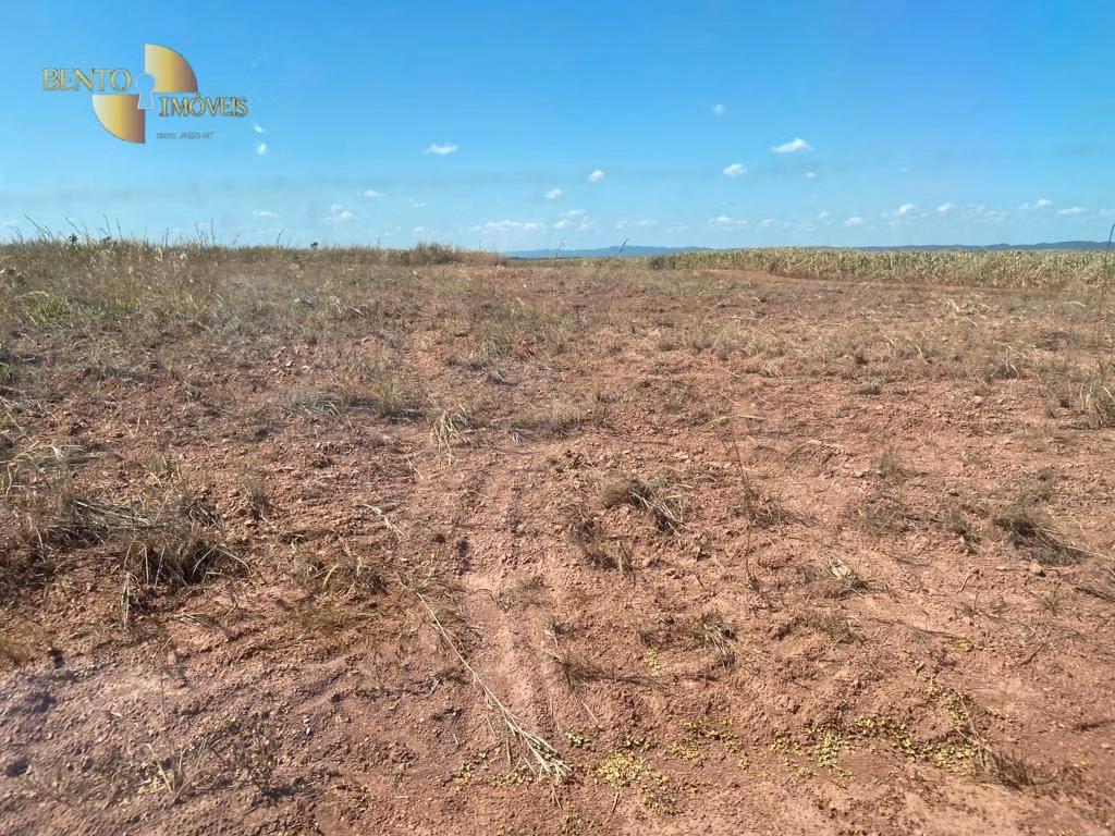 Fazenda de 1.100 ha em Nova Brasilândia, MT