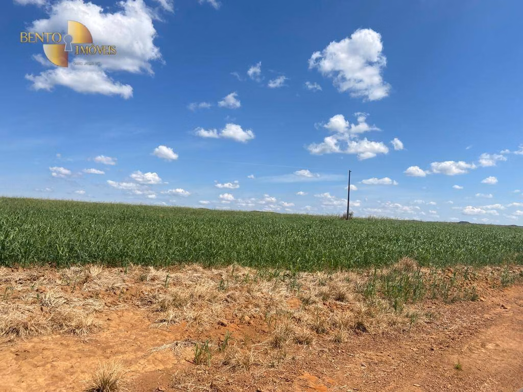 Fazenda de 1.100 ha em Nova Brasilândia, MT