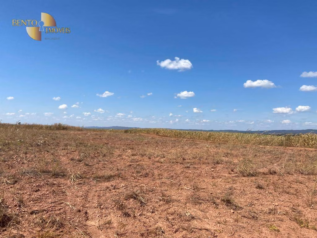 Fazenda de 1.100 ha em Nova Brasilândia, MT