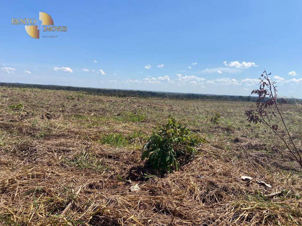 Fazenda de 1.100 ha em Nova Brasilândia, MT