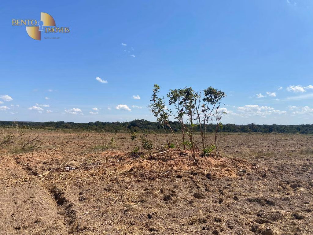 Fazenda de 1.100 ha em Nova Brasilândia, MT