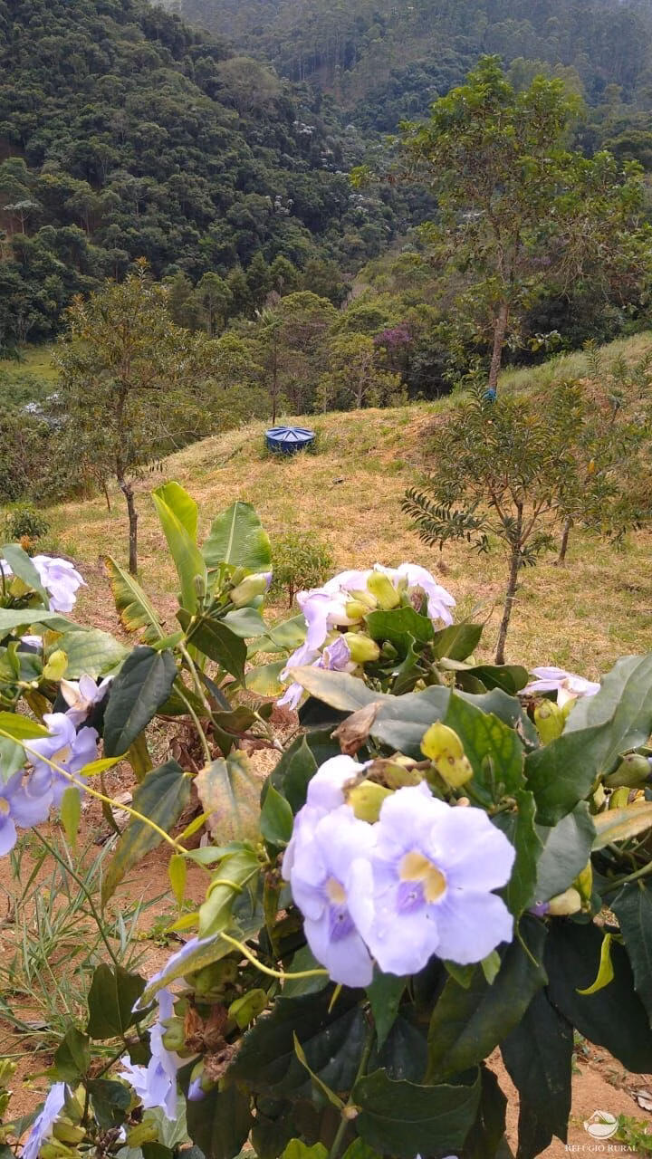 Sítio de 3 ha em São José dos Campos, SP