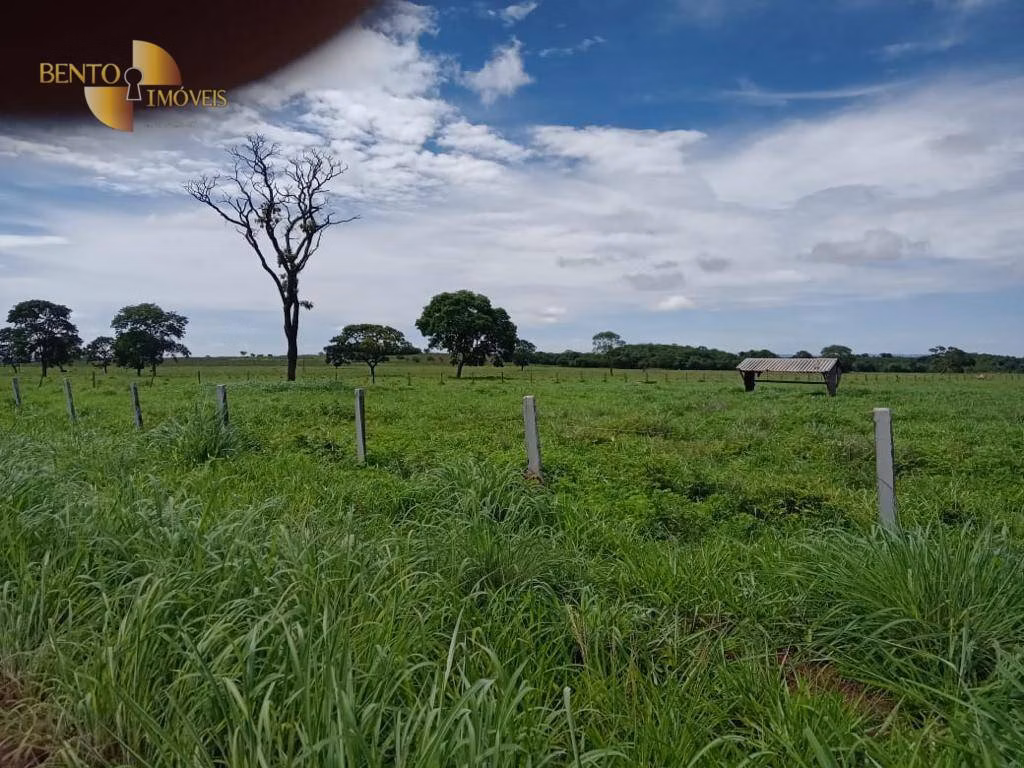 Farm of 1.334 acres in Rosário Oeste, MT, Brazil