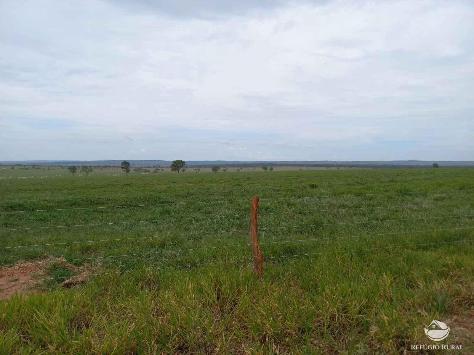 Fazenda de 1.550 ha em Camapuã, MS