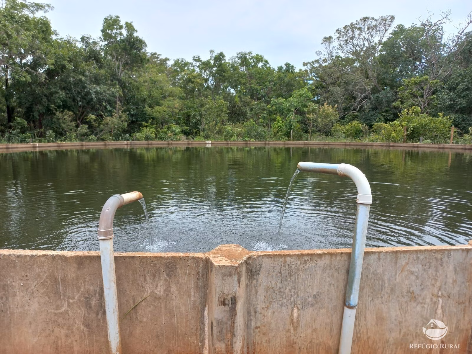 Fazenda de 1.550 ha em Camapuã, MS