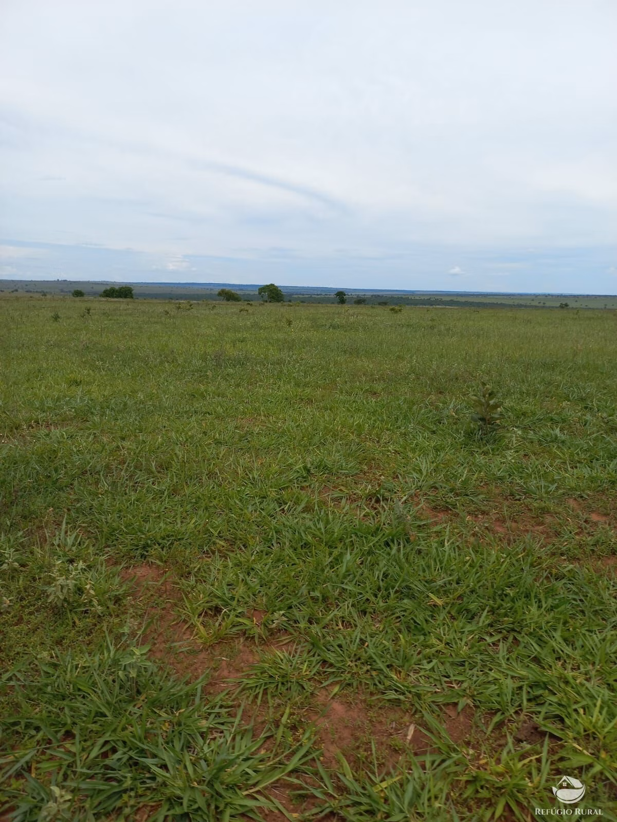 Fazenda de 1.550 ha em Camapuã, MS