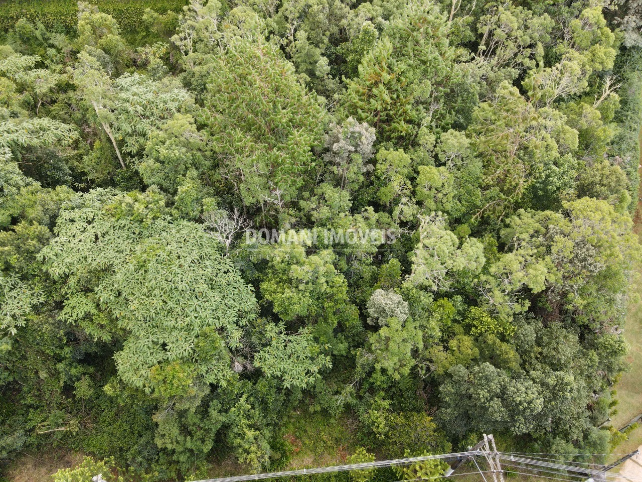 Terreno de 2.220 m² em Campos do Jordão, SP