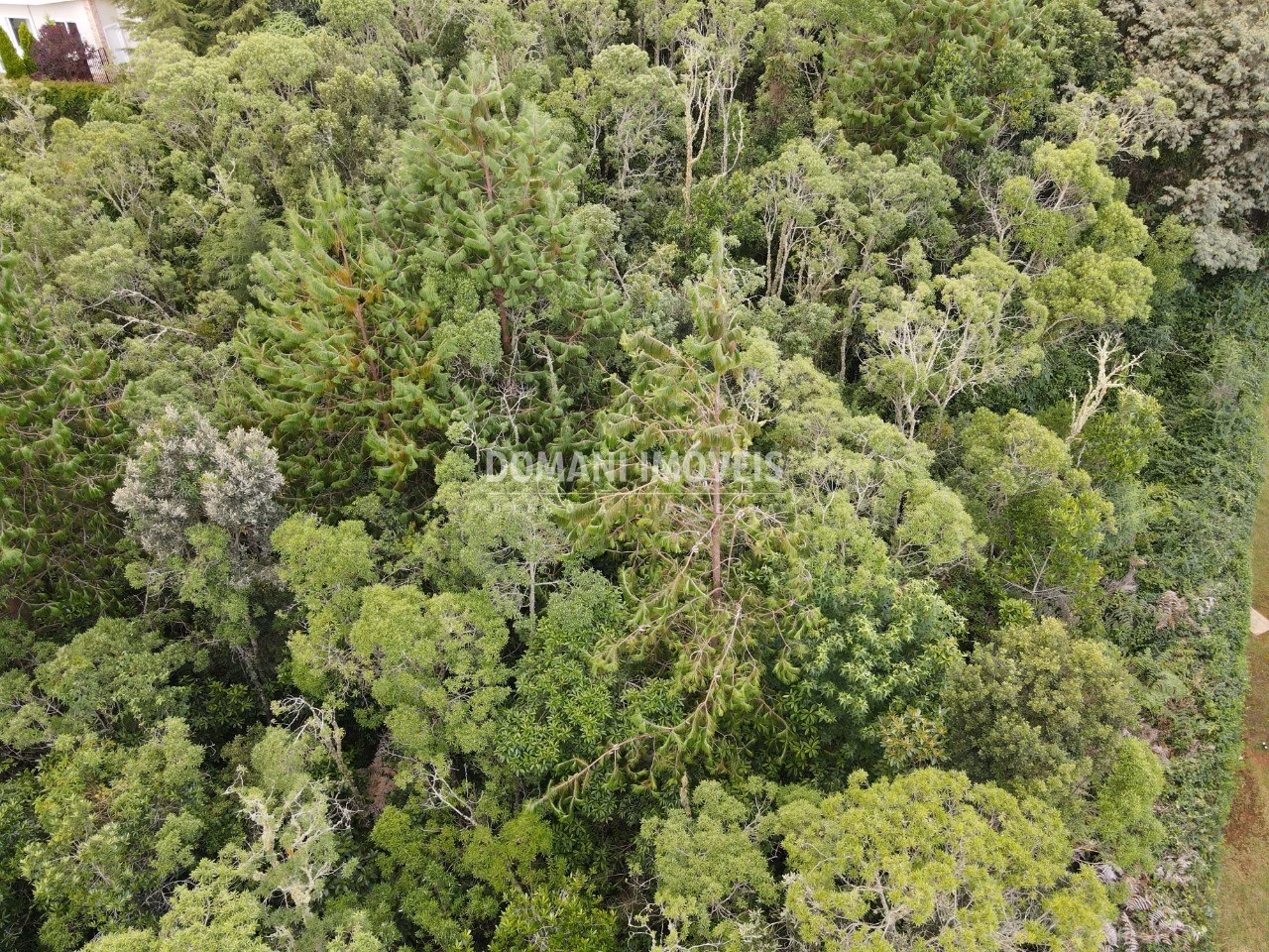 Terreno de 2.220 m² em Campos do Jordão, SP