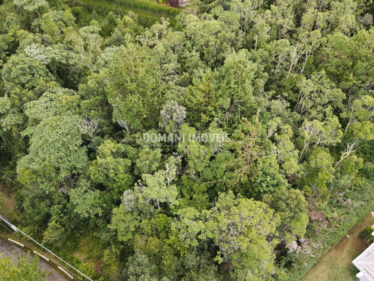 Terreno de 2.220 m² em Campos do Jordão, SP