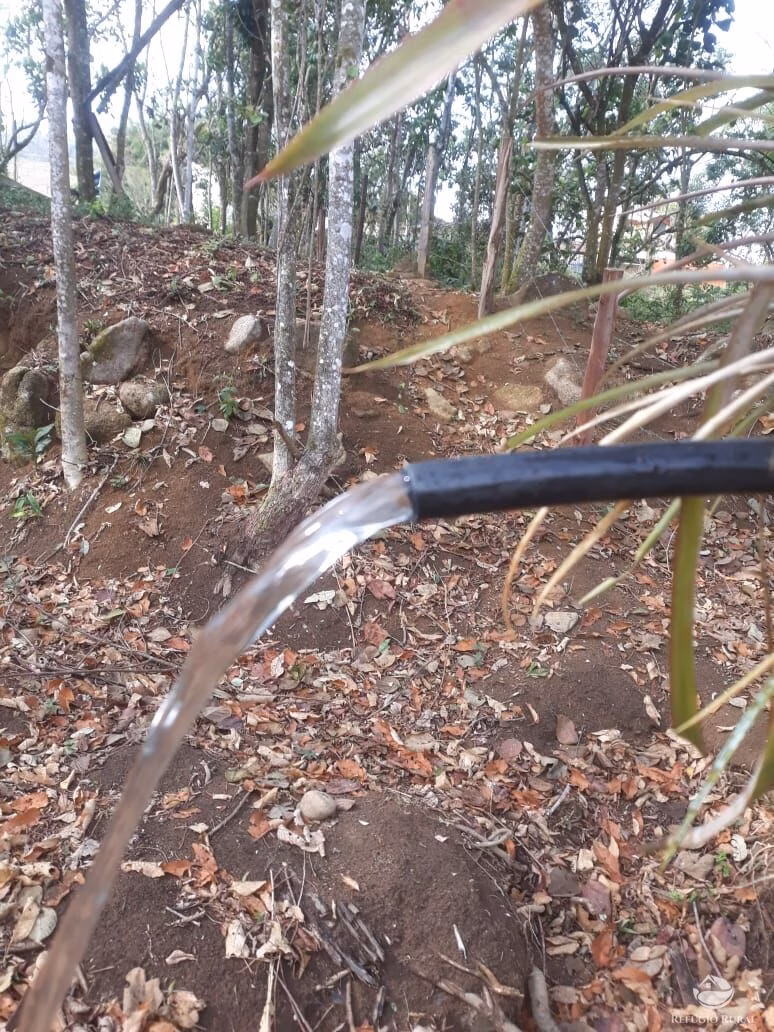 Sítio de 3 ha em Monteiro Lobato, SP
