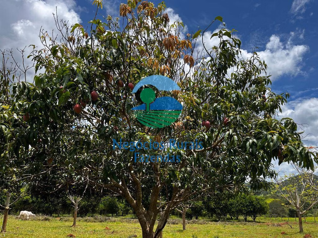 Chácara de 6 ha em Caturaí, GO