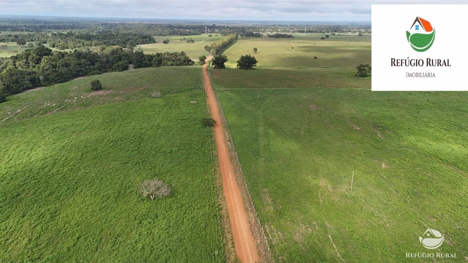 Fazenda de 2.231 ha em Ribamar Fiquene, MA