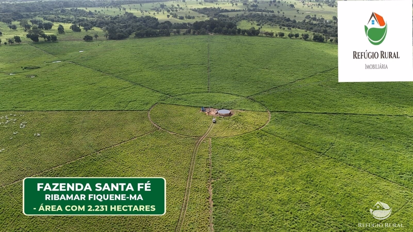 Fazenda de 2.231 ha em Ribamar Fiquene, MA