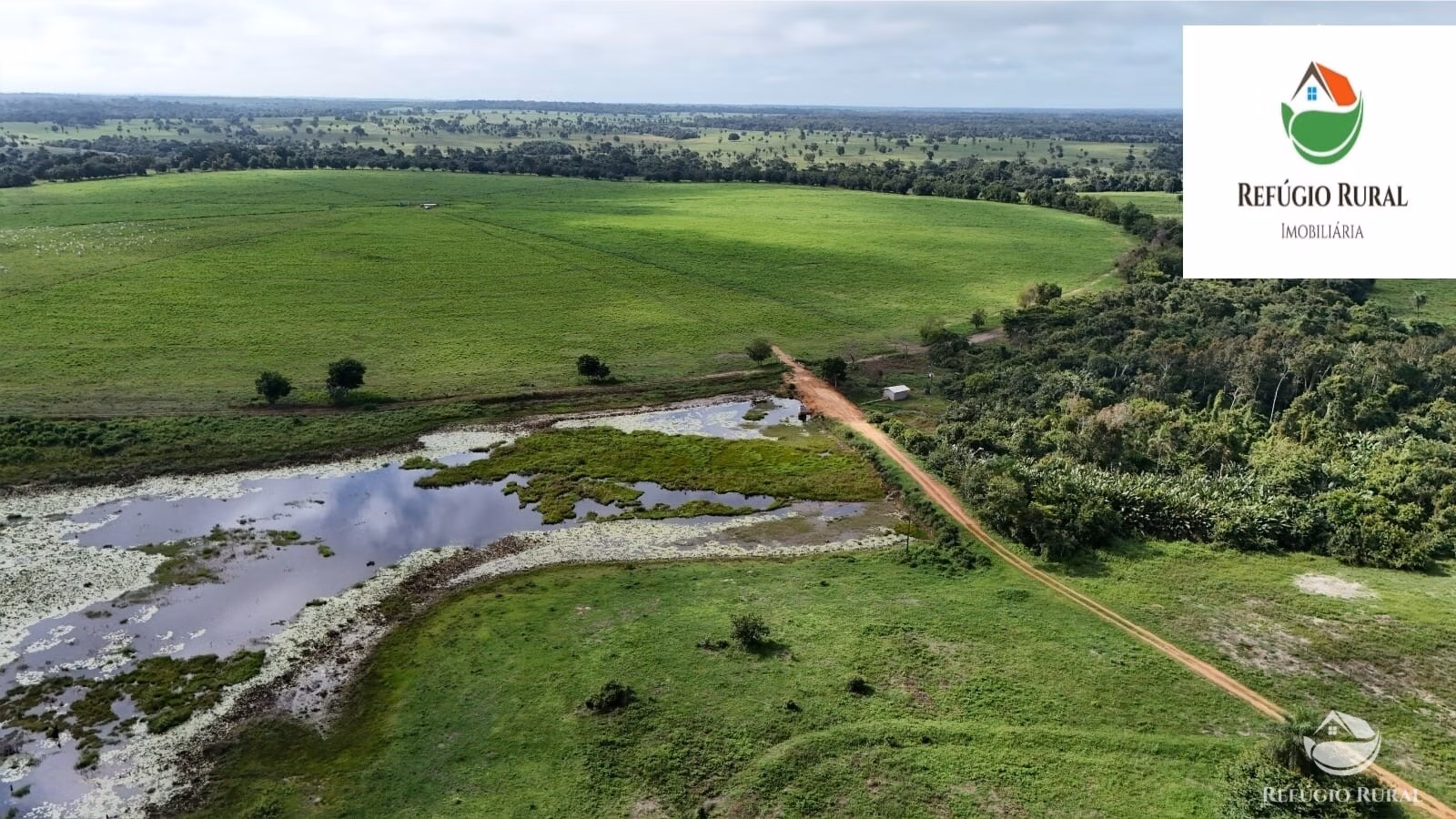 Fazenda de 2.231 ha em Ribamar Fiquene, MA