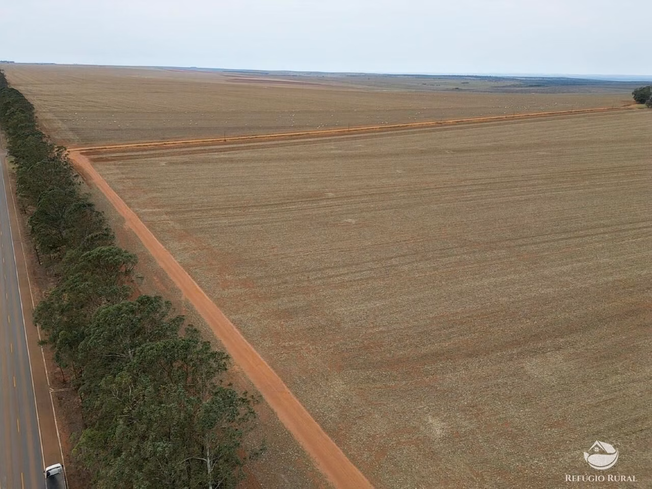 Fazenda de 17.844 ha em Campo Novo do Parecis, MT