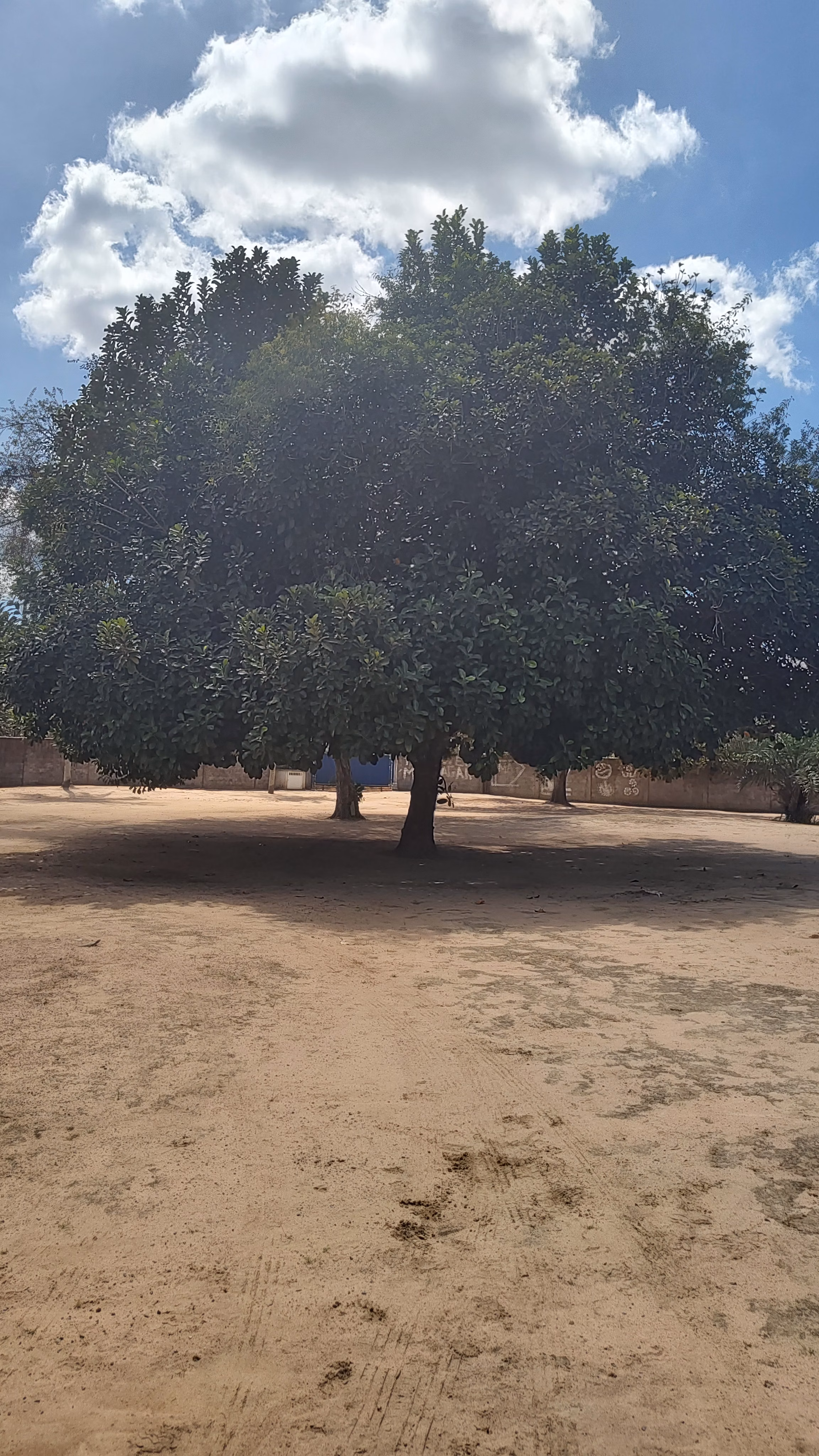 Country home of 2 acres in Feira de Santana, BA, Brazil