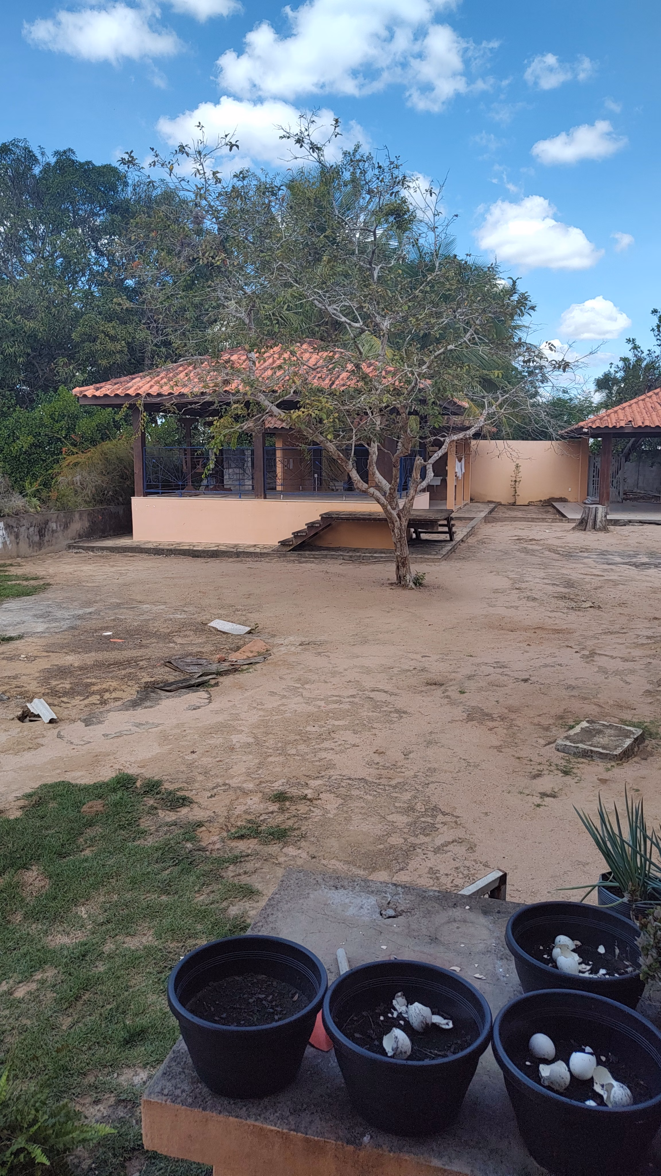 Chácara de 1 ha em Feira de Santana, BA