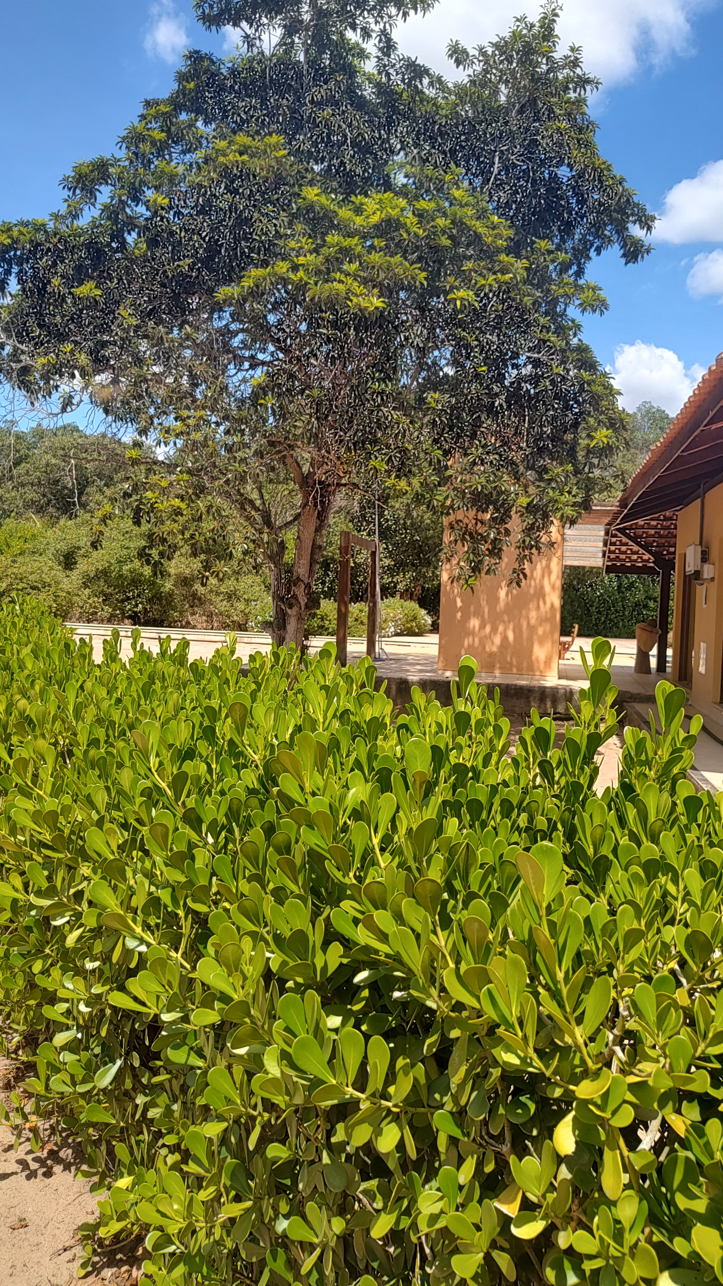 Country home of 2 acres in Feira de Santana, BA, Brazil