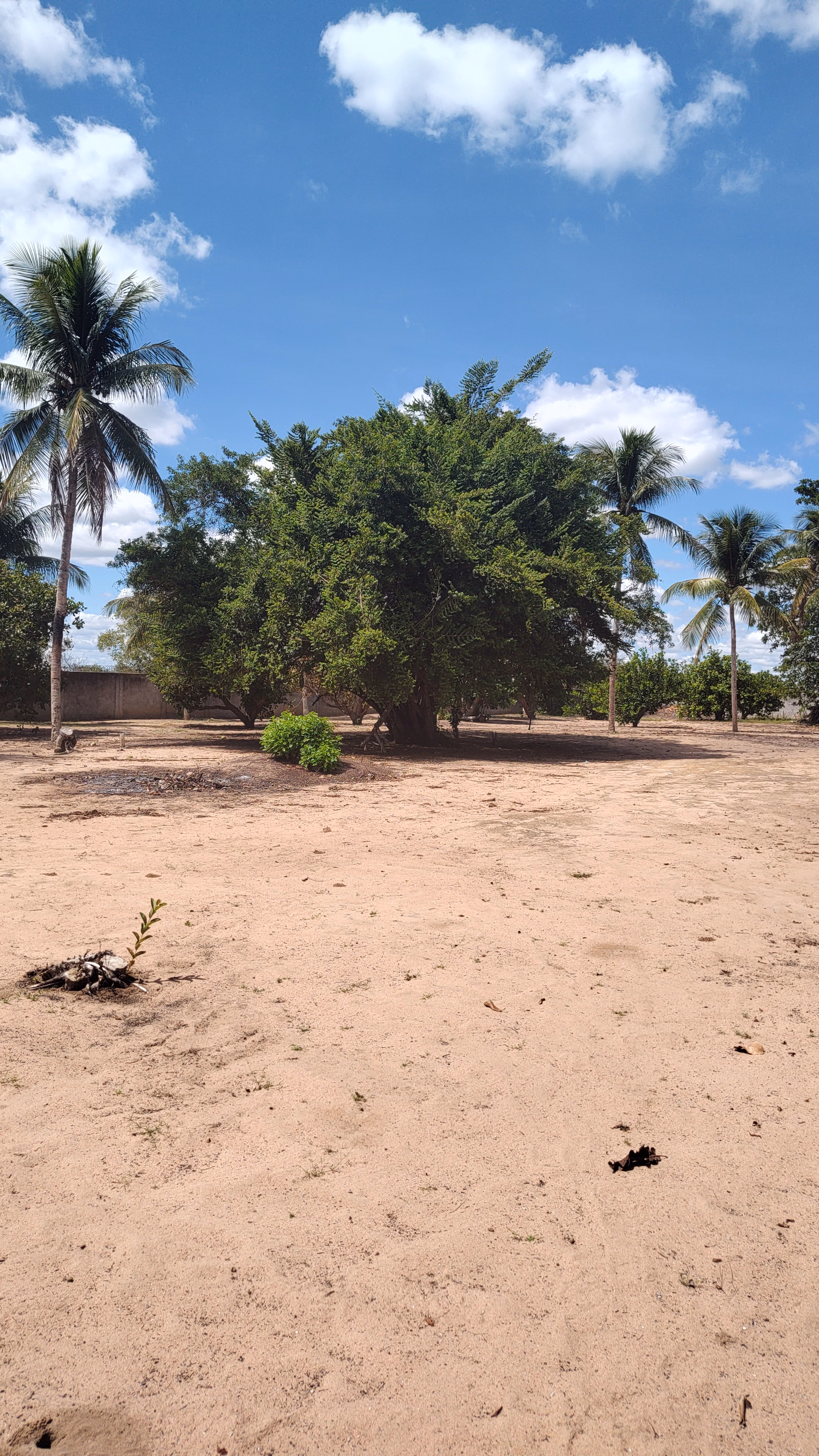 Country home of 2 acres in Feira de Santana, BA, Brazil