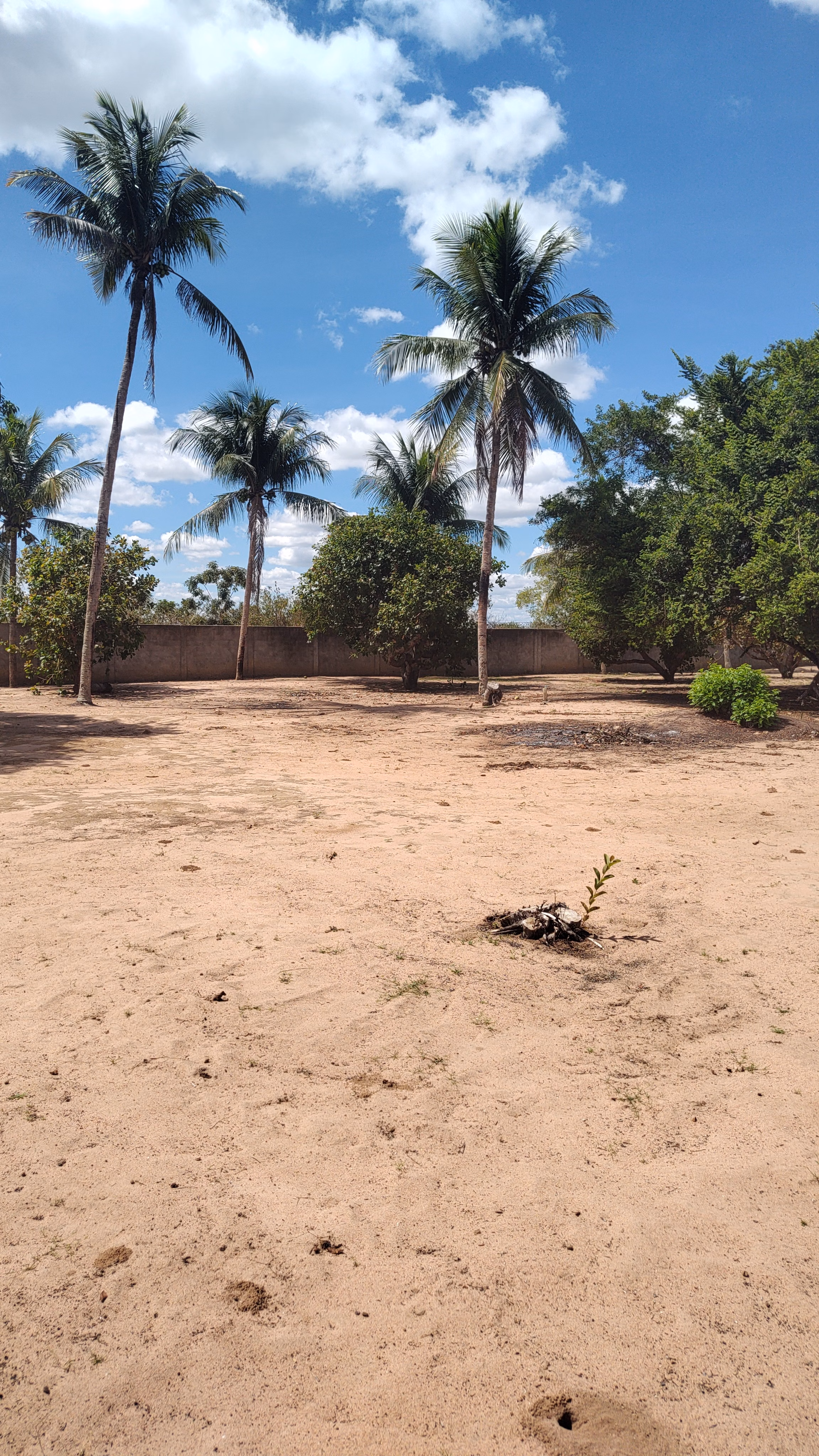 Country home of 2 acres in Feira de Santana, BA, Brazil