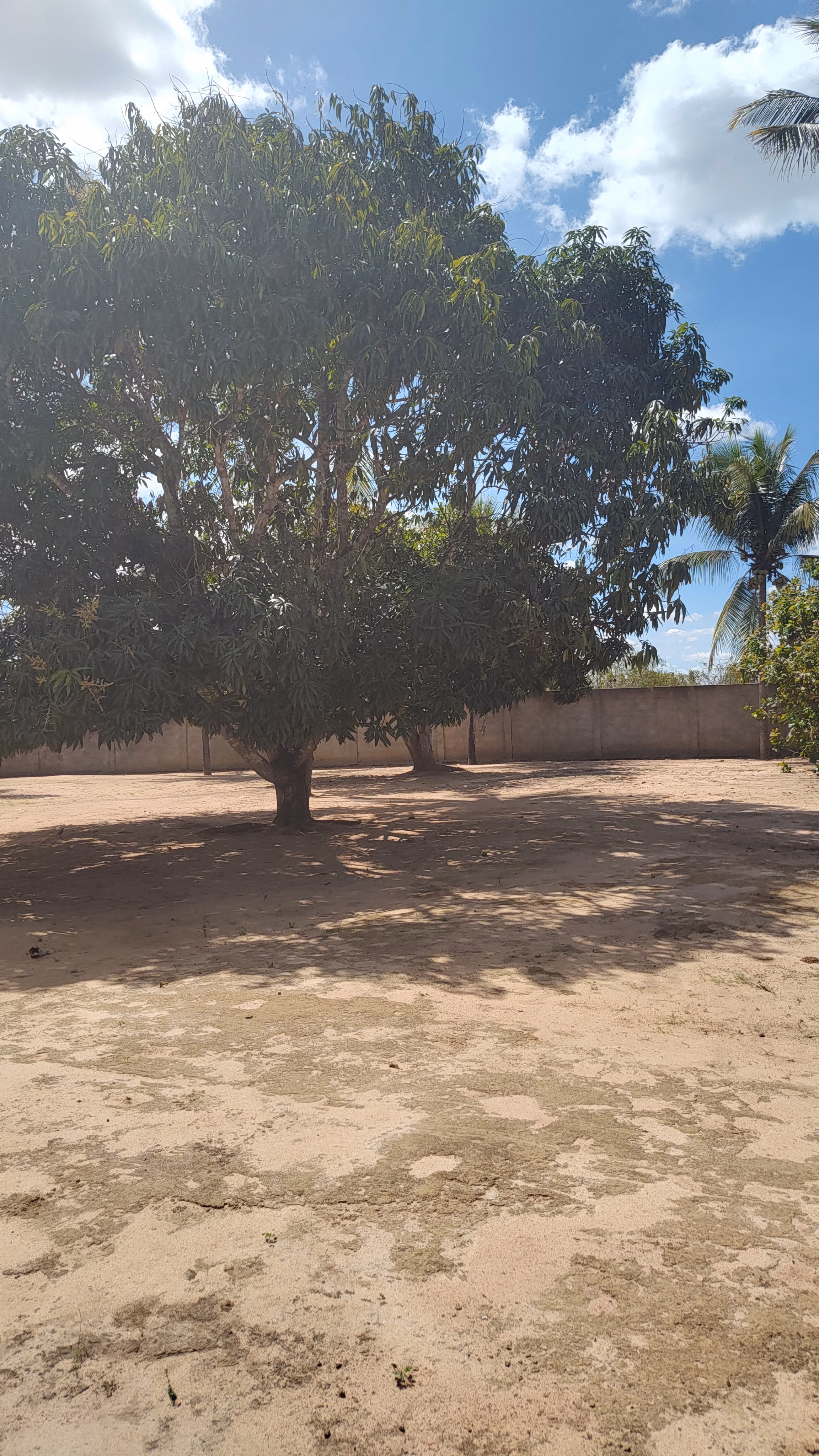 Chácara de 1 ha em Feira de Santana, BA