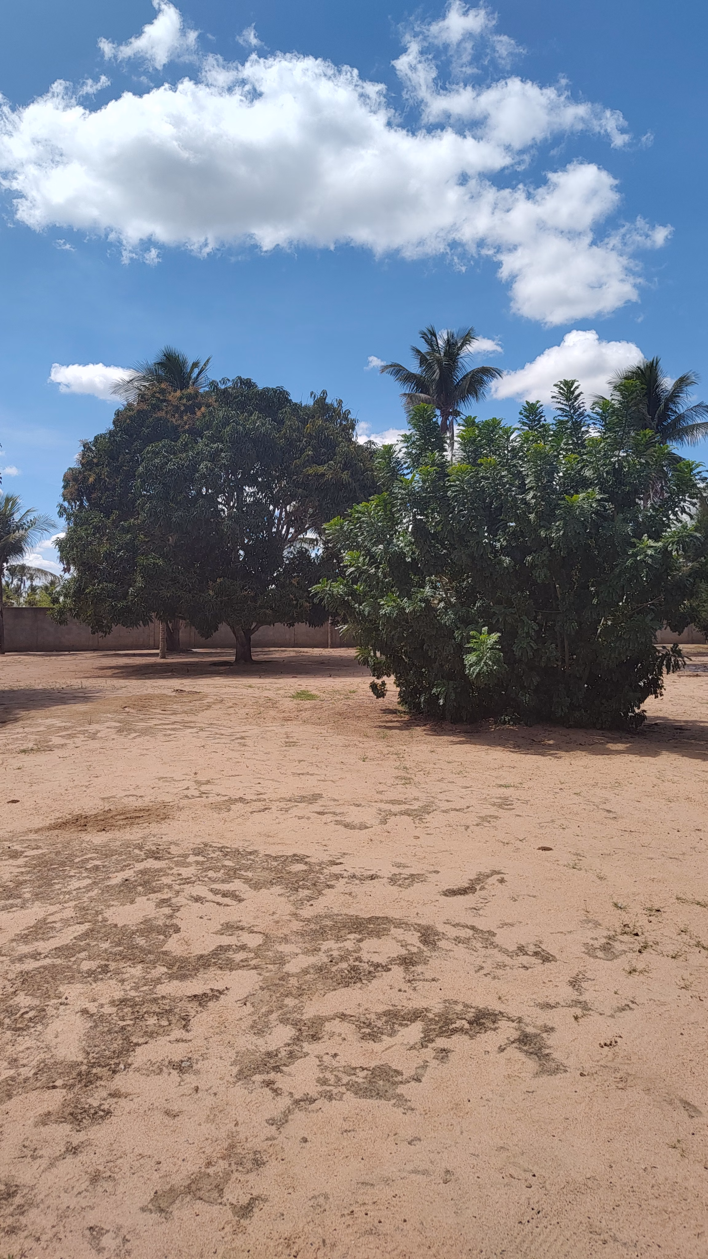 Country home of 2 acres in Feira de Santana, BA, Brazil