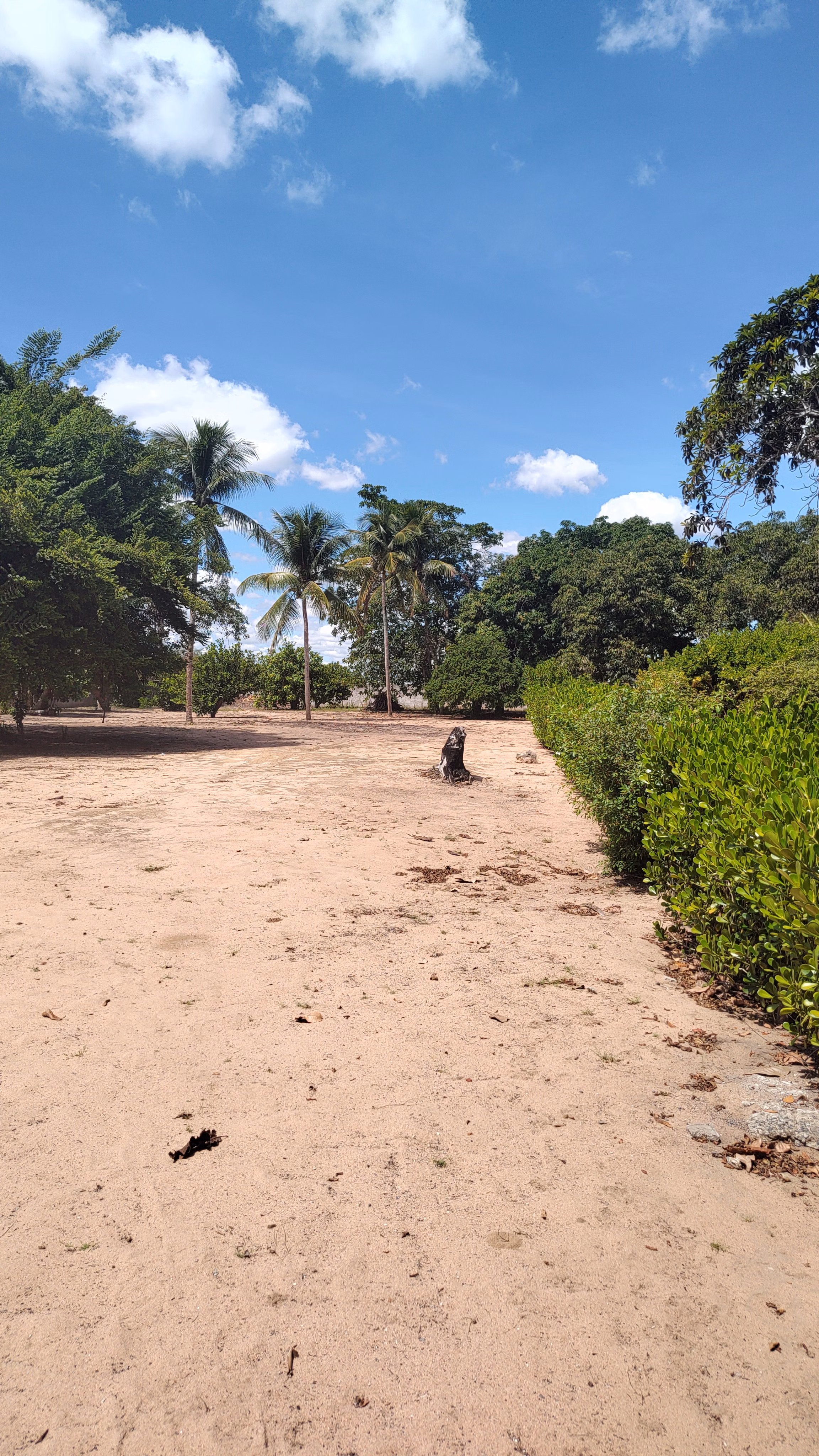Country home of 2 acres in Feira de Santana, BA, Brazil