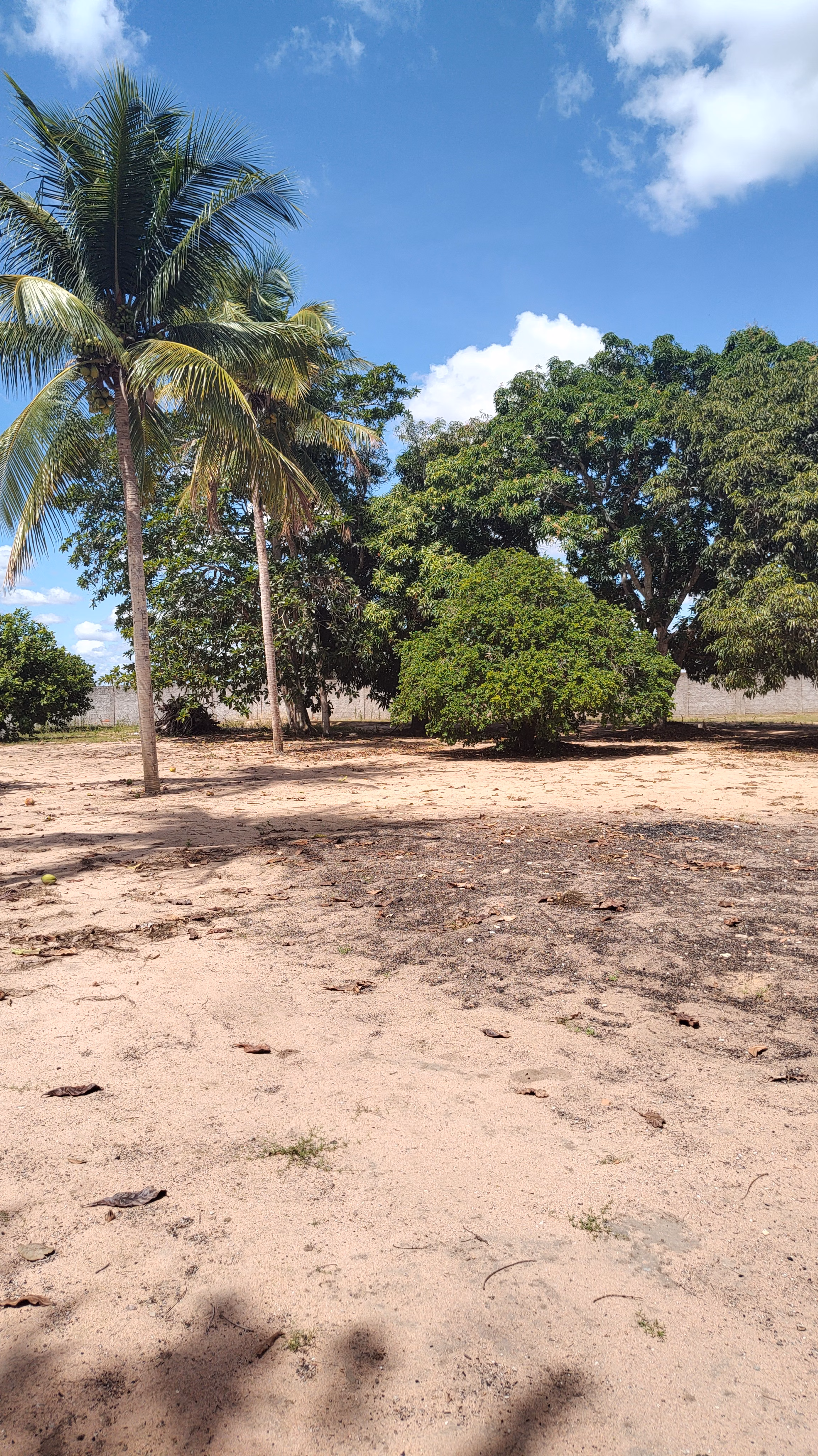 Country home of 2 acres in Feira de Santana, BA, Brazil