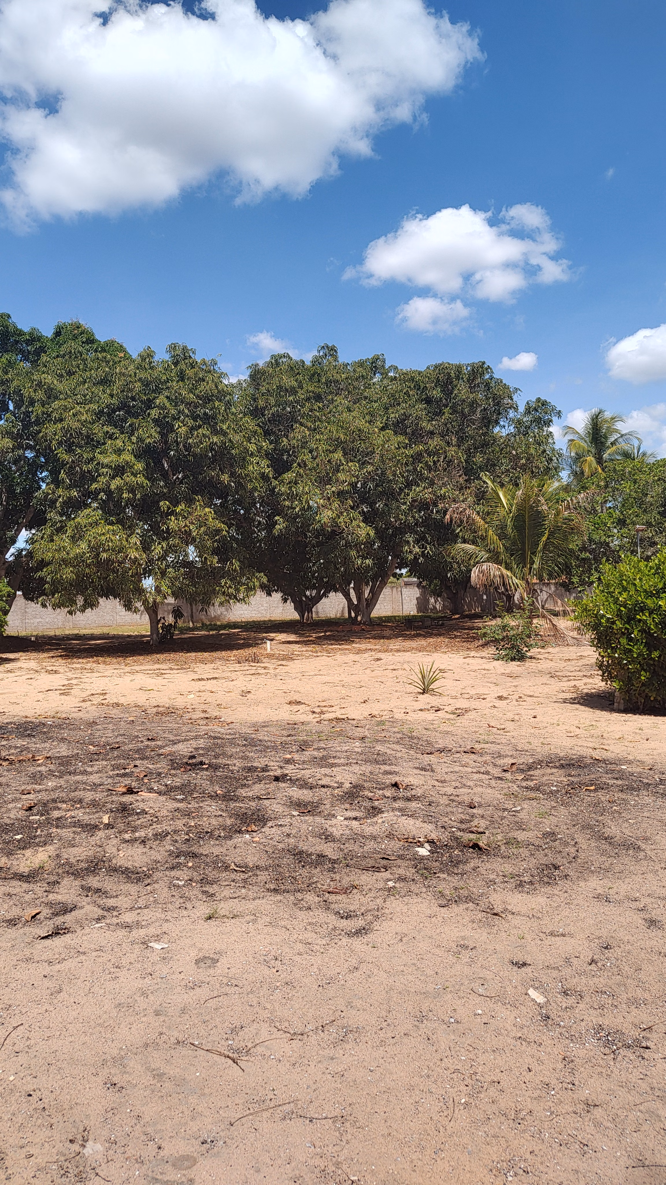 Country home of 2 acres in Feira de Santana, BA, Brazil