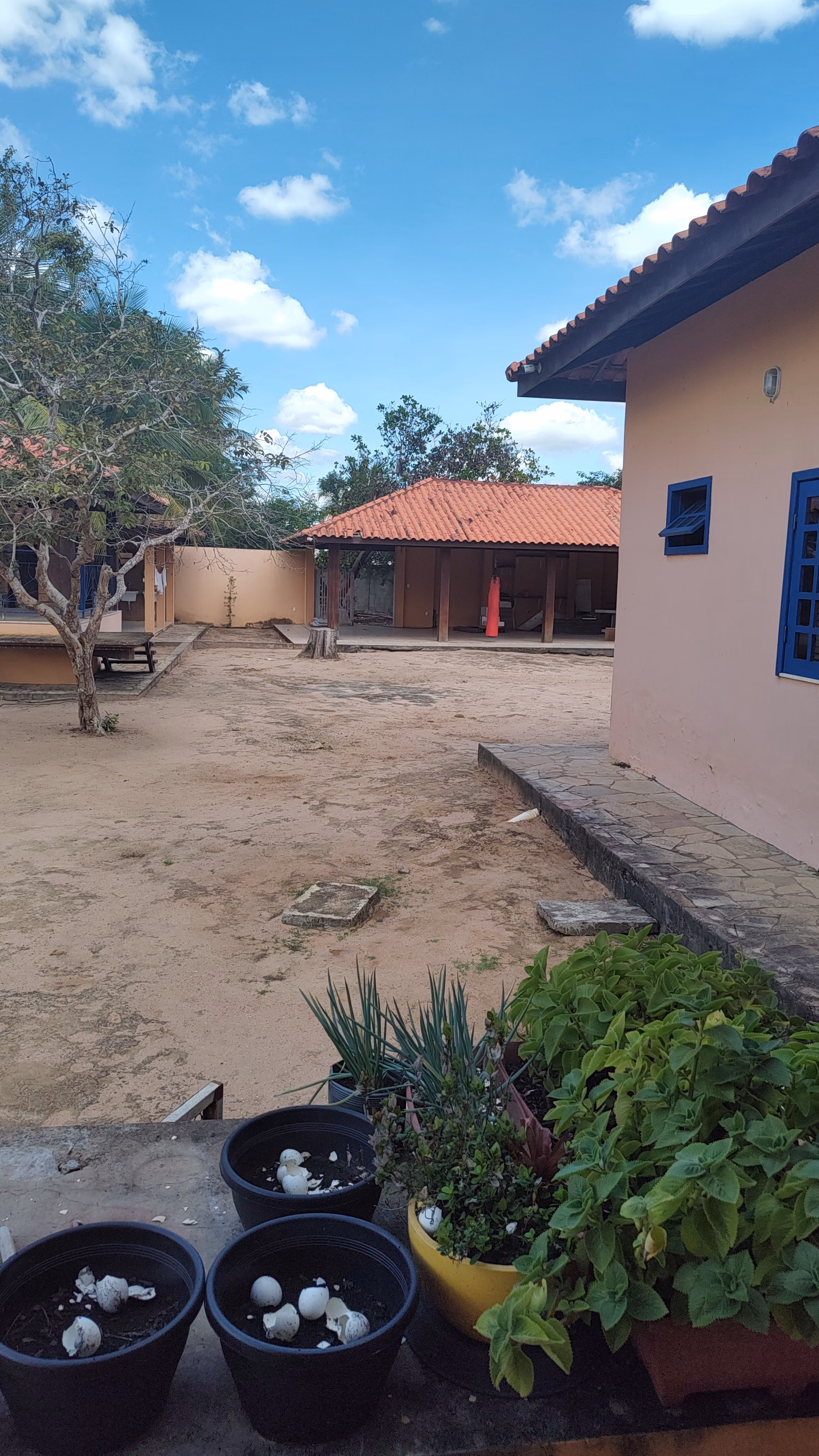 Chácara de 1 ha em Feira de Santana, BA