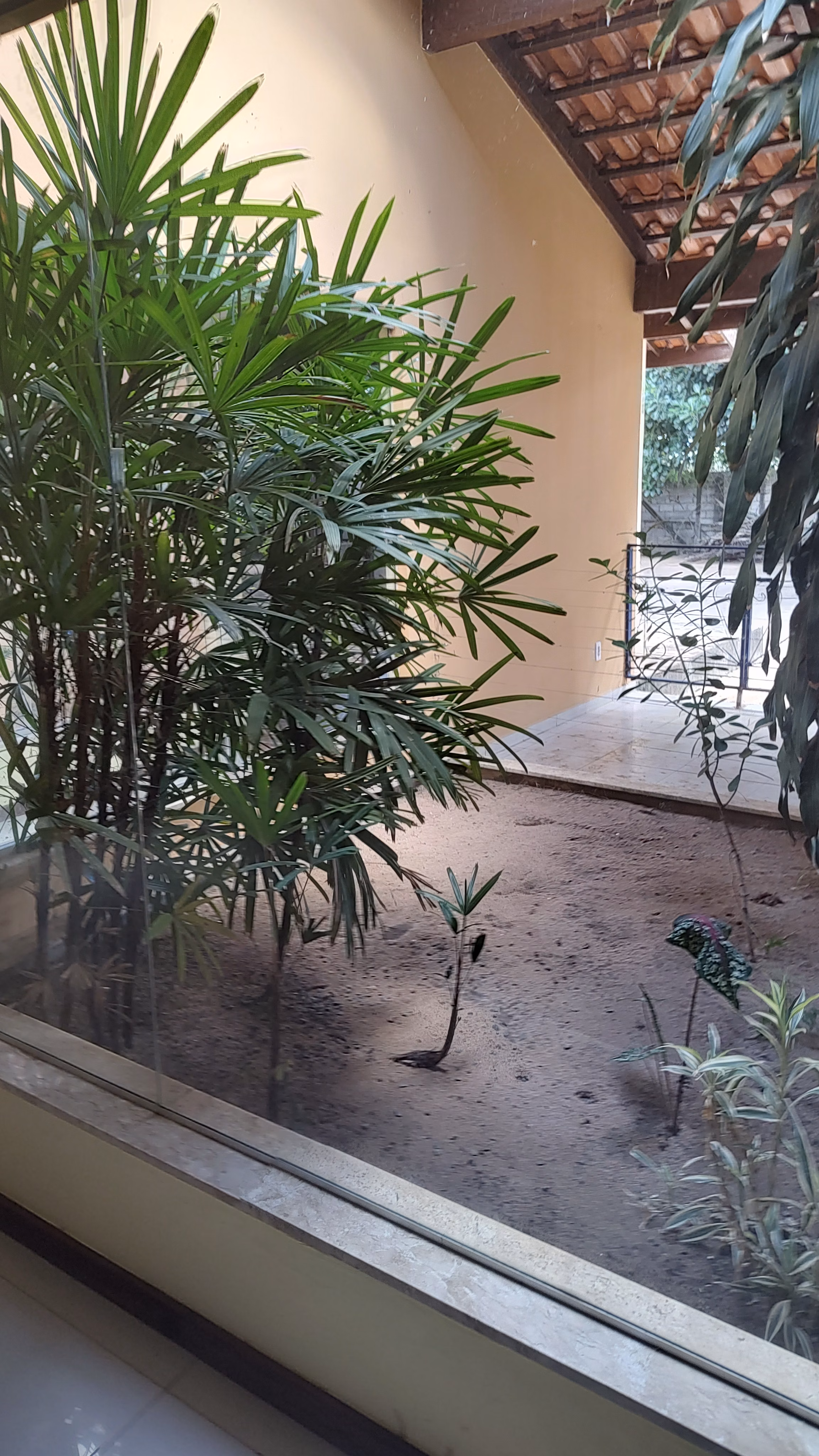 Country home of 2 acres in Feira de Santana, BA, Brazil